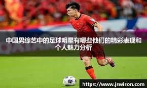 条款与表